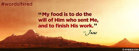 My Food Is To Do The Will Of Him Who Sent Me.